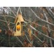 Bird Feeder - Apple / Suet